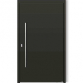 PUERTA PIVOTANTE ALUMINIO