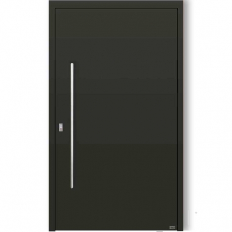 PUERTA PIVOTANTE ALUMINIO